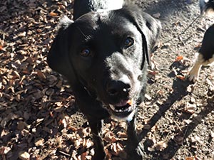 January 2017 Photo 7